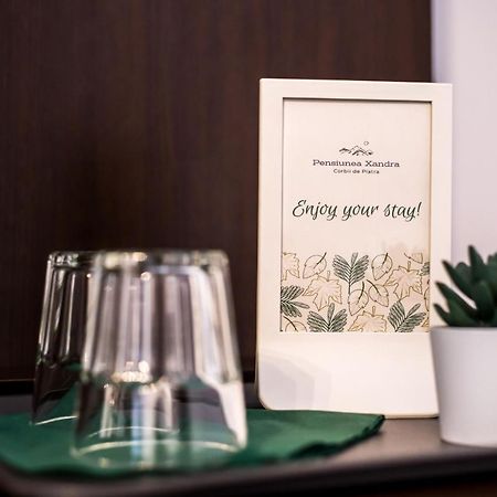 Pensiunea Xandra Hotel Corbi Luaran gambar